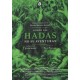 Donde las hadas no se aventuran