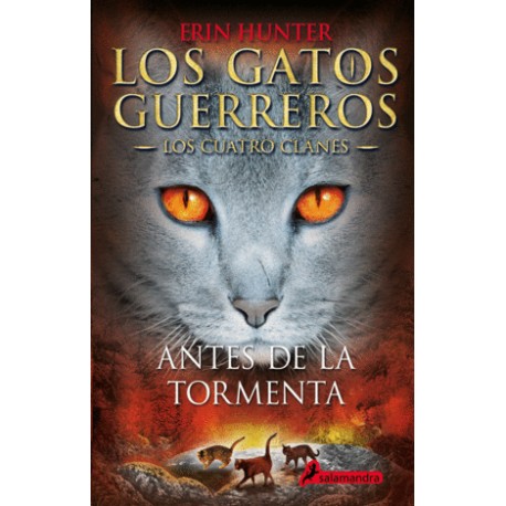 Antes de la tormenta