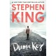 Duma Key