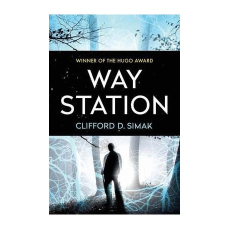 Way Statiion