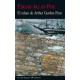 Relato de Arthur Gordon Pym, El