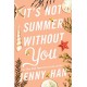 It's Not Summer Without You