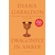 Dragonfly in Amber