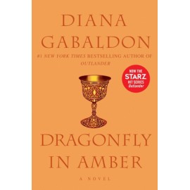 Dragonfly in Amber