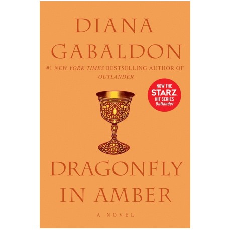Dragonfly in Amber