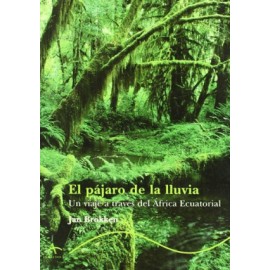 Pájaro de la lluvia, el
