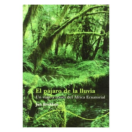 Pájaro de la lluvia, el