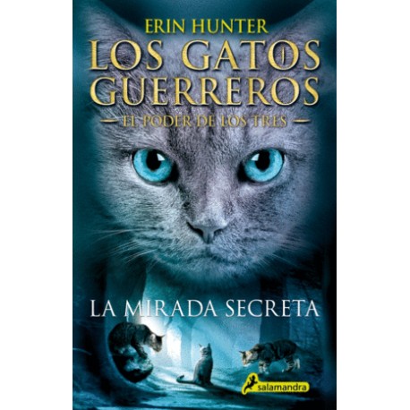 Mirada secreta, La